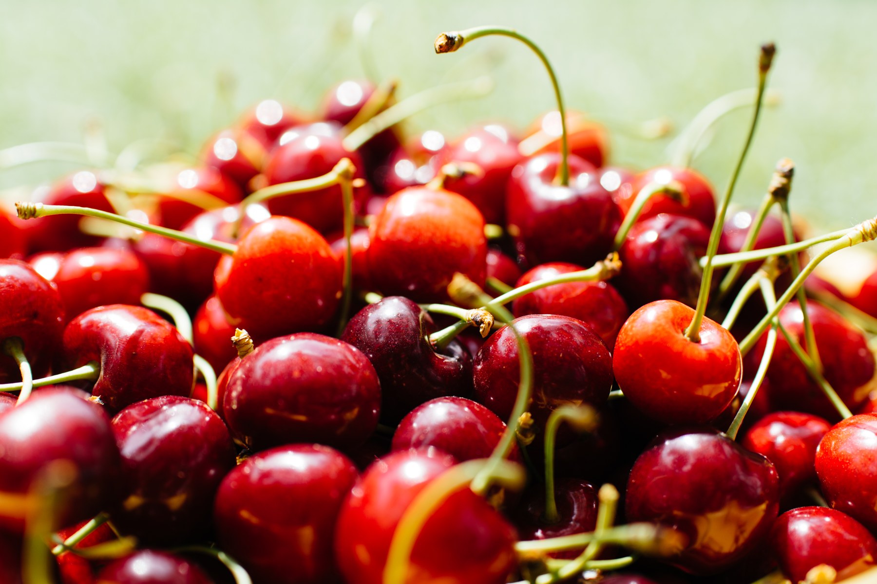 Sekumpulan buah cherry merah dengan tangkainya